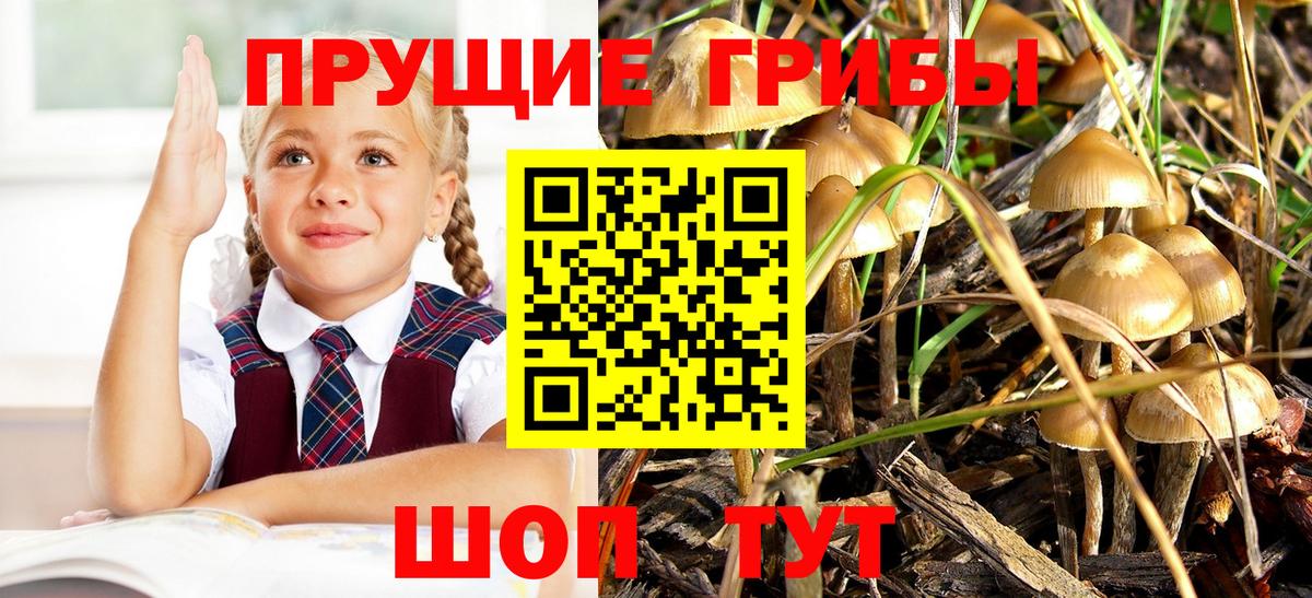 Галлюциногенные грибы ЛСД Урай