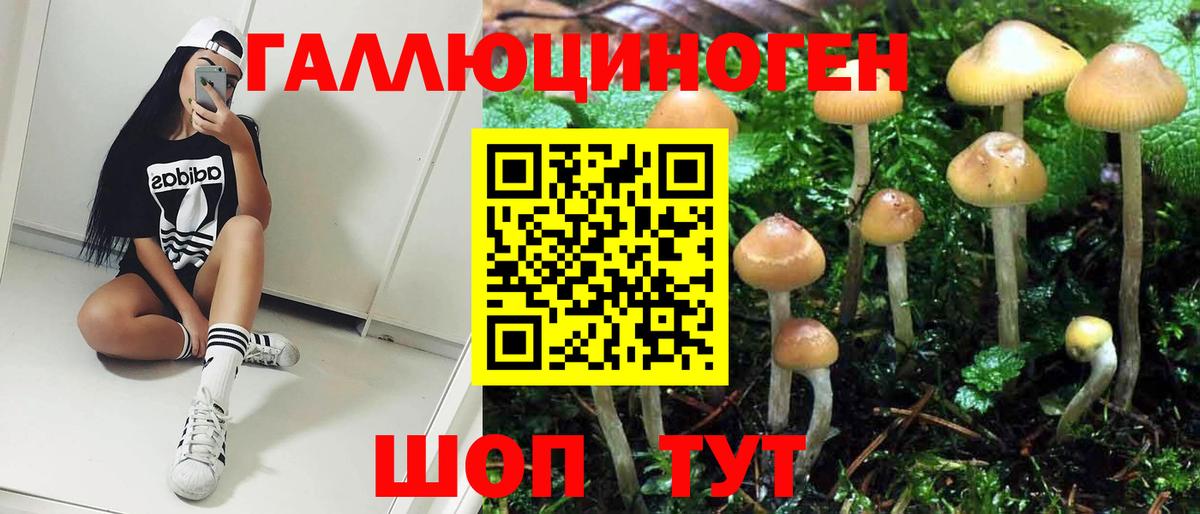 где продают   Псилоцибиновые грибы прущие грибы  Вход с VPN  Урай 